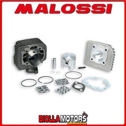 318723 gruppo termico malossi - termico,